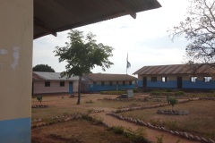 DSC08771
